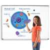 Learning Resources Giant Magnetic Animal Cells 6039